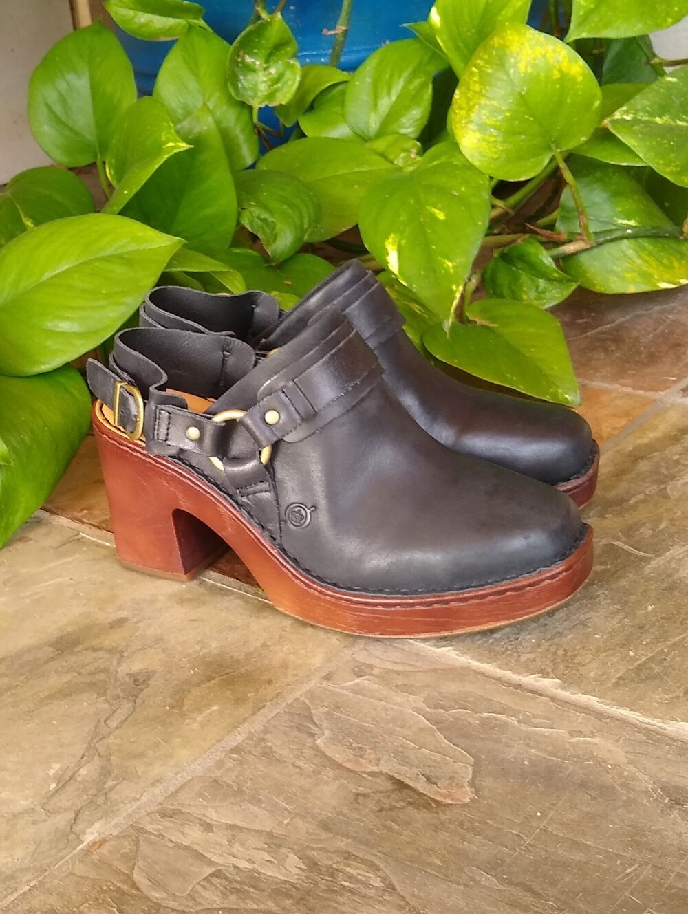Like New BORN Hudson Slingback Clog 9 Black Worn 1x! - Picture 4 of 11